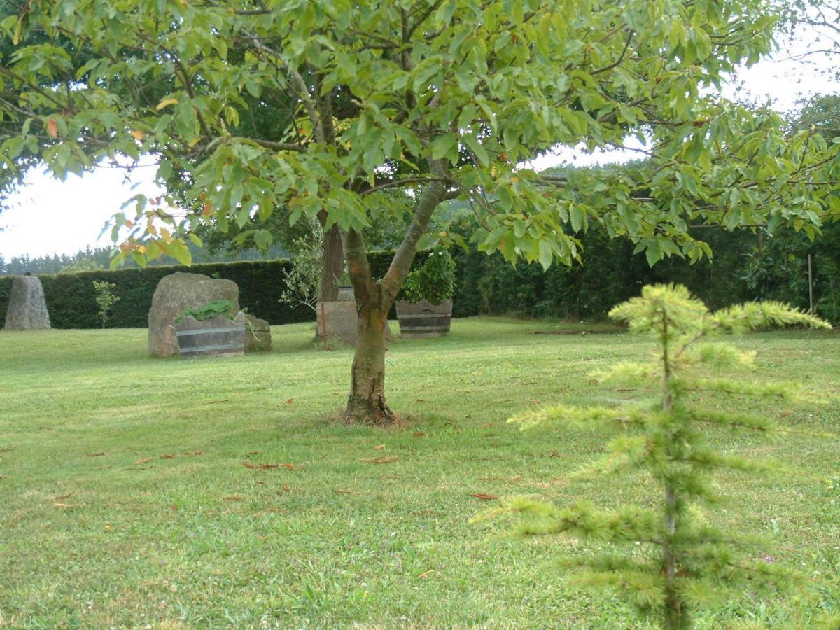 Albergue Eskerika Exclusivo Peregrinos Esquerica Bagian luar foto